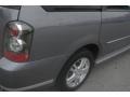 Titanium Gray Metallic - MPV LX Photo No. 18