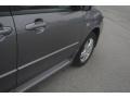 Titanium Gray Metallic - MPV LX Photo No. 22