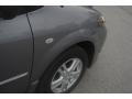 Titanium Gray Metallic - MPV LX Photo No. 23