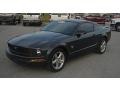 2009 Alloy Metallic Ford Mustang V6 Premium Coupe  photo #1