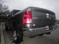 Mineral Gray Pearl - Ram 3500 HD Big Horn Crew Cab 4x4 Photo No. 3