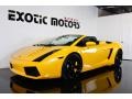 2008 Giallo Midas (Yellow) Lamborghini Gallardo Spyder  photo #10