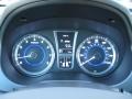 Camel Gauges Photo for 2013 Hyundai Azera #73376193