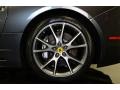 2010 Ferrari California Standard California Model Wheel and Tire Photo
