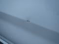 Arctic White - GLK 350 Photo No. 14