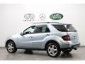 Alpine Rain Metallic - ML 350 4Matic Photo No. 5