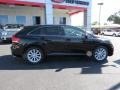 2010 Black Toyota Venza I4  photo #8