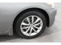 Platinum Graphite - G 37 x Sedan Photo No. 31