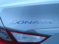 Radiant Silver - Sonata GLS Photo No. 11