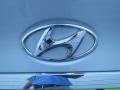 Radiant Silver - Sonata GLS Photo No. 12