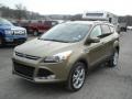 2013 Ginger Ale Metallic Ford Escape Titanium 2.0L EcoBoost 4WD  photo #4