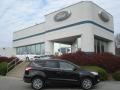 2013 Tuxedo Black Metallic Ford Escape SEL 1.6L EcoBoost 4WD  photo #1