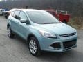 2013 Frosted Glass Metallic Ford Escape SEL 1.6L EcoBoost 4WD  photo #2