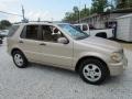 2003 Desert Silver Metallic Mercedes-Benz ML 350 4Matic  photo #2