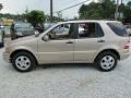 2003 Desert Silver Metallic Mercedes-Benz ML 350 4Matic  photo #9