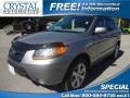 Steel Gray 2008 Hyundai Santa Fe SE