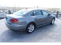 Platinum Gray Metallic - Passat 2.5L SE Photo No. 8