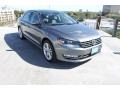 2013 Platinum Gray Metallic Volkswagen Passat TDI SE  photo #1