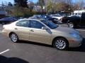 Mystic Gold Metallic - ES 300 Photo No. 3