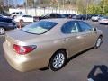 Mystic Gold Metallic - ES 300 Photo No. 10