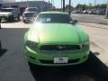 2013 Gotta Have It Green Ford Mustang V6 Coupe  photo #14