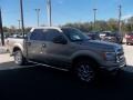 Pale Adobe Metallic - F150 XLT SuperCrew Photo No. 18