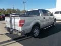 Ingot Silver Metallic - F150 XLT SuperCrew Photo No. 10