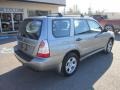 Crystal Gray Metallic - Forester 2.5 X Sports Photo No. 11
