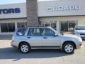 Crystal Gray Metallic - Forester 2.5 X Sports Photo No. 12