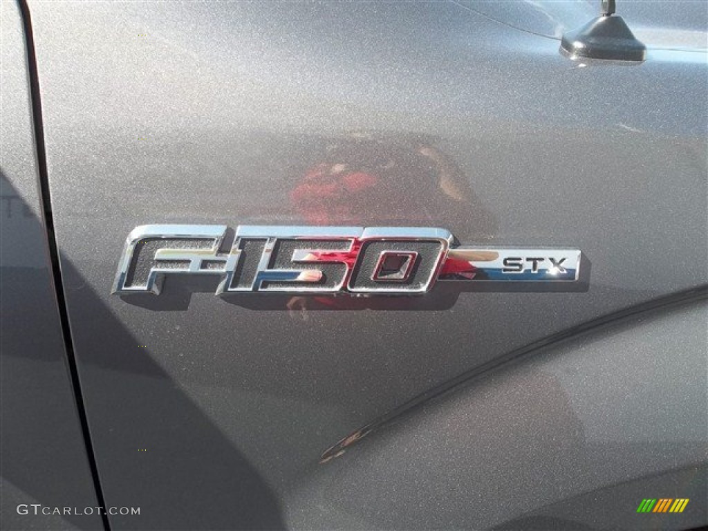 2013 F150 STX SuperCab - Sterling Gray Metallic / Steel Gray photo #16