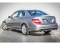 Palladium Silver Metallic - C 300 Luxury Photo No. 12