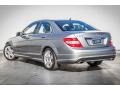 2010 Palladium Silver Metallic Mercedes-Benz C 300 Luxury  photo #12