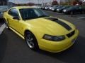 Front 3/4 View of 2003 Mustang Mach 1 Coupe