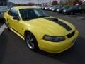 2003 Zinc Yellow Ford Mustang Mach 1 Coupe  photo #1