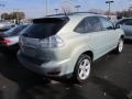 Bamboo Green Pearl - RX 350 AWD Photo No. 2