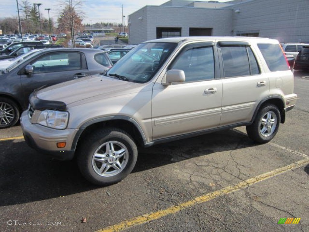 2001 CR-V Special Edition 4WD - Naples Gold Metallic / Dark Gray photo #1