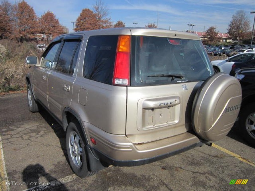2001 CR-V Special Edition 4WD - Naples Gold Metallic / Dark Gray photo #2
