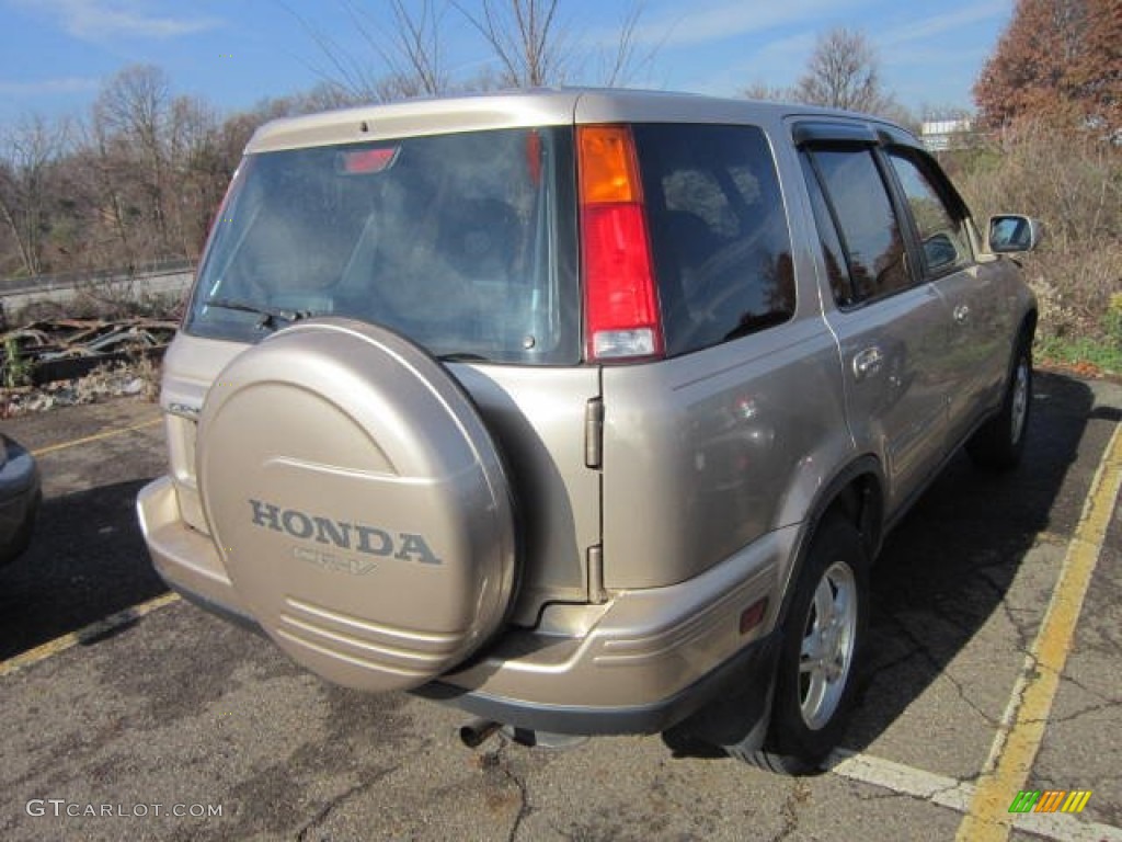 2001 CR-V Special Edition 4WD - Naples Gold Metallic / Dark Gray photo #3