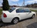White - Malibu LS V6 Sedan Photo No. 5