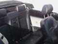 Black - New Beetle GLS Convertible Photo No. 13