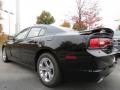 Pitch Black - Charger SE Photo No. 2