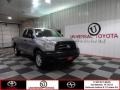 Silver Sky Metallic - Tundra Double Cab Photo No. 1