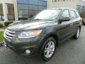 2012 Black Forest Green Hyundai Santa Fe Limited V6 AWD  photo #2