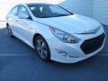Porcelain White Pearl - Sonata Hybrid Photo No. 1