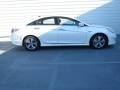Porcelain White Pearl - Sonata Hybrid Photo No. 2