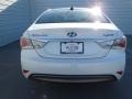 Porcelain White Pearl - Sonata Hybrid Photo No. 4