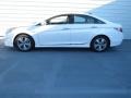 Porcelain White Pearl - Sonata Hybrid Photo No. 5