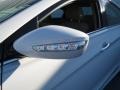 Porcelain White Pearl - Sonata Hybrid Photo No. 11