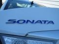 Porcelain White Pearl - Sonata Hybrid Photo No. 12