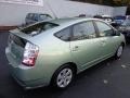 Silver Pine Green Mica - Prius Hybrid Photo No. 12